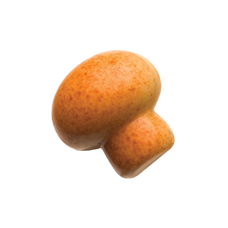 Champignon Marbré White Chocolate