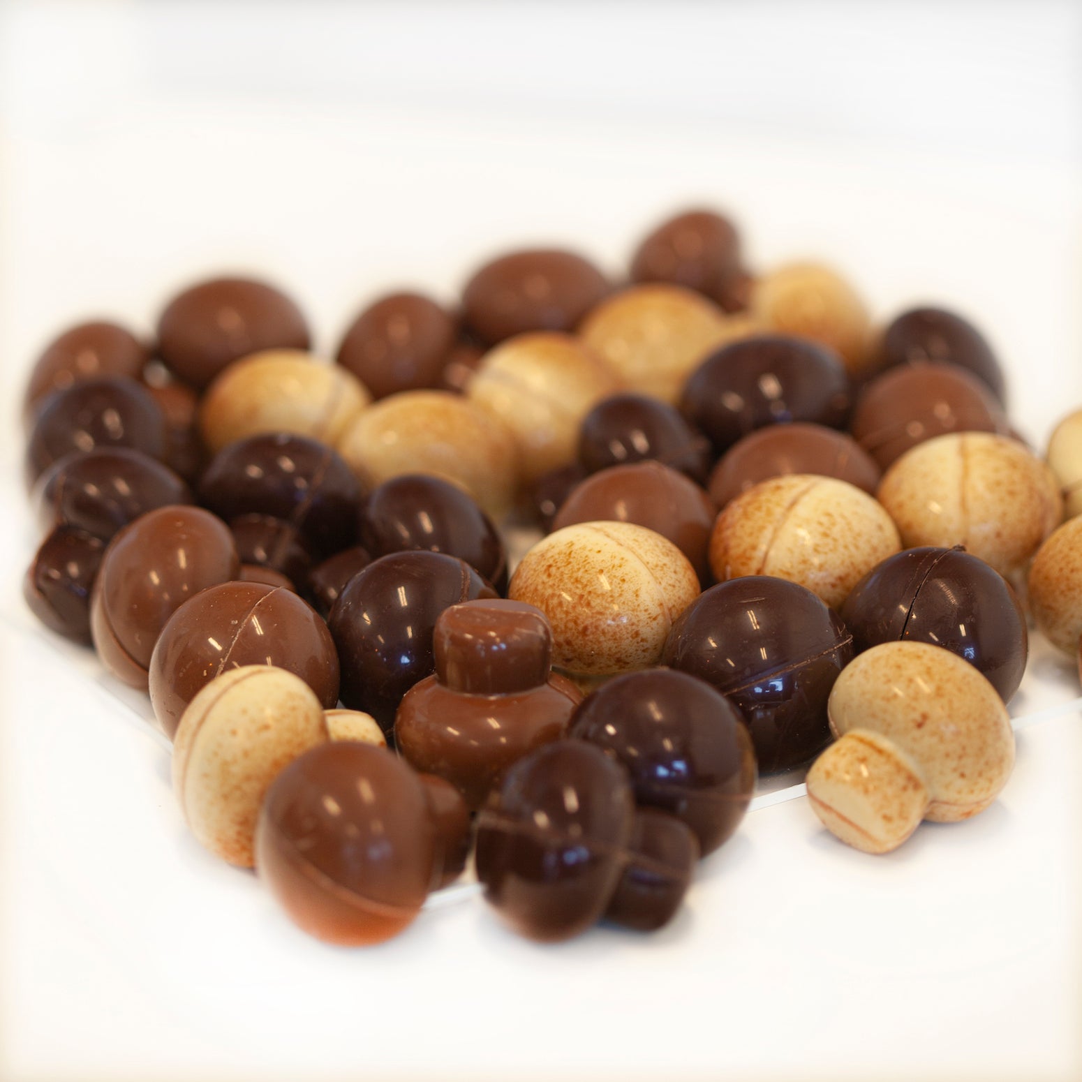 Chocolate Mushroom assortment - Image 2