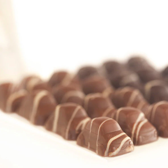Cinquecento Milk Chocolate - Image 2