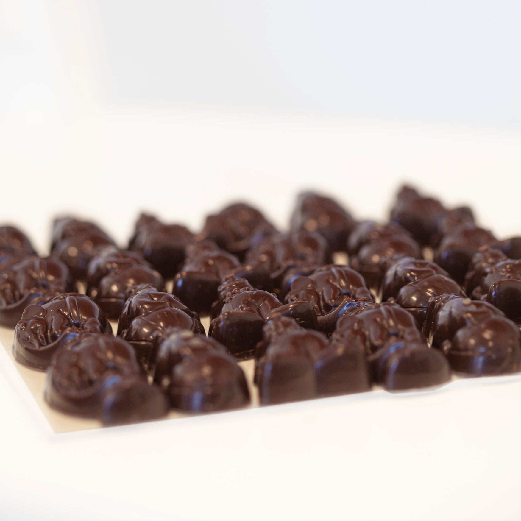 Circus Dark Chocolate - Image 2