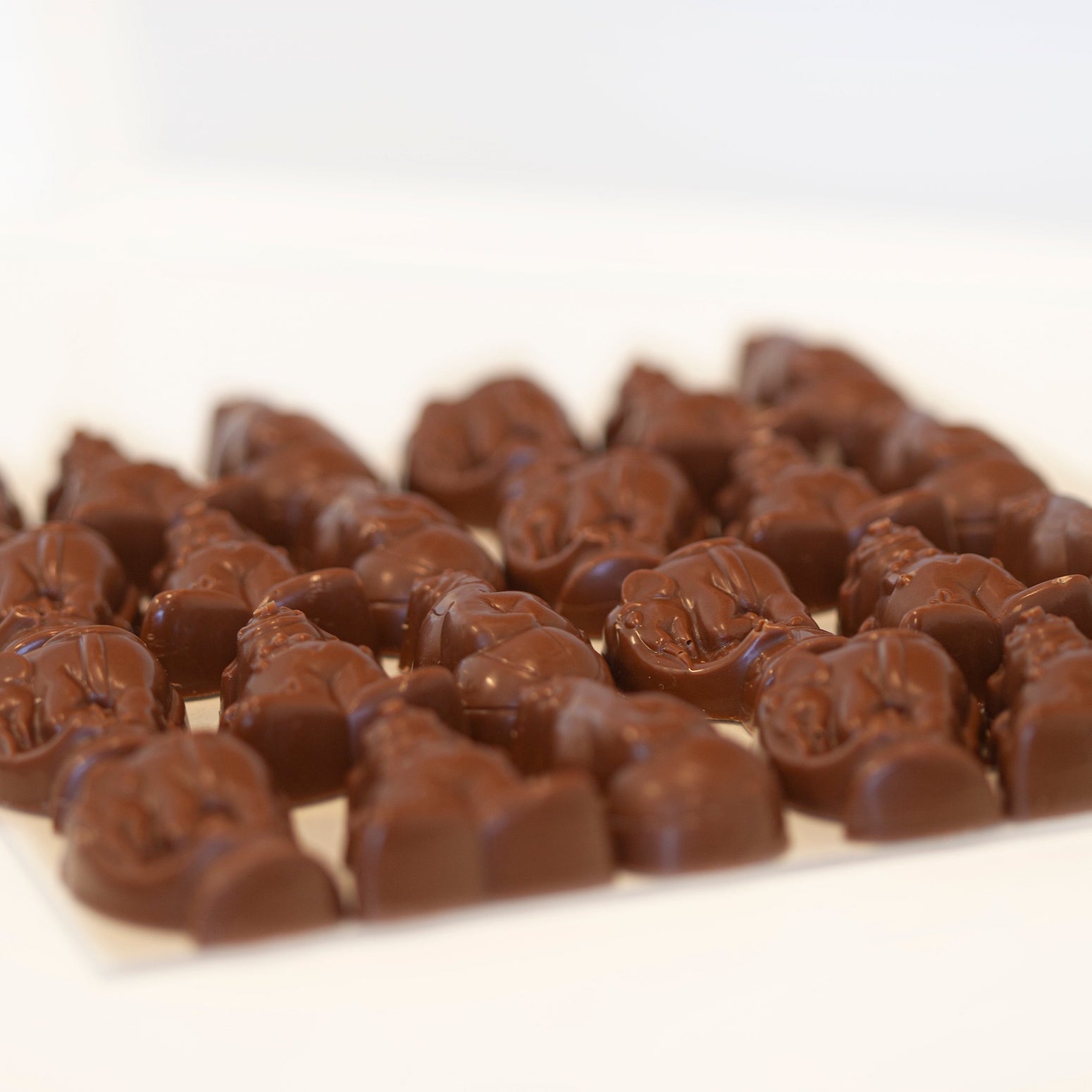 Circus Milk Chocolate - Image 2