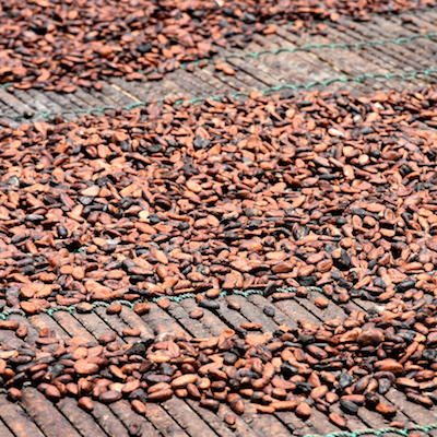 Ecuador dark chocolate - Image 6