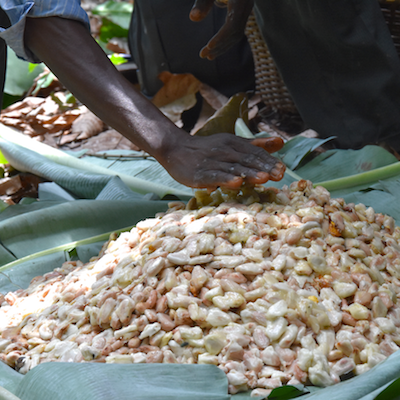 Ghana milk chocolate - Image 5