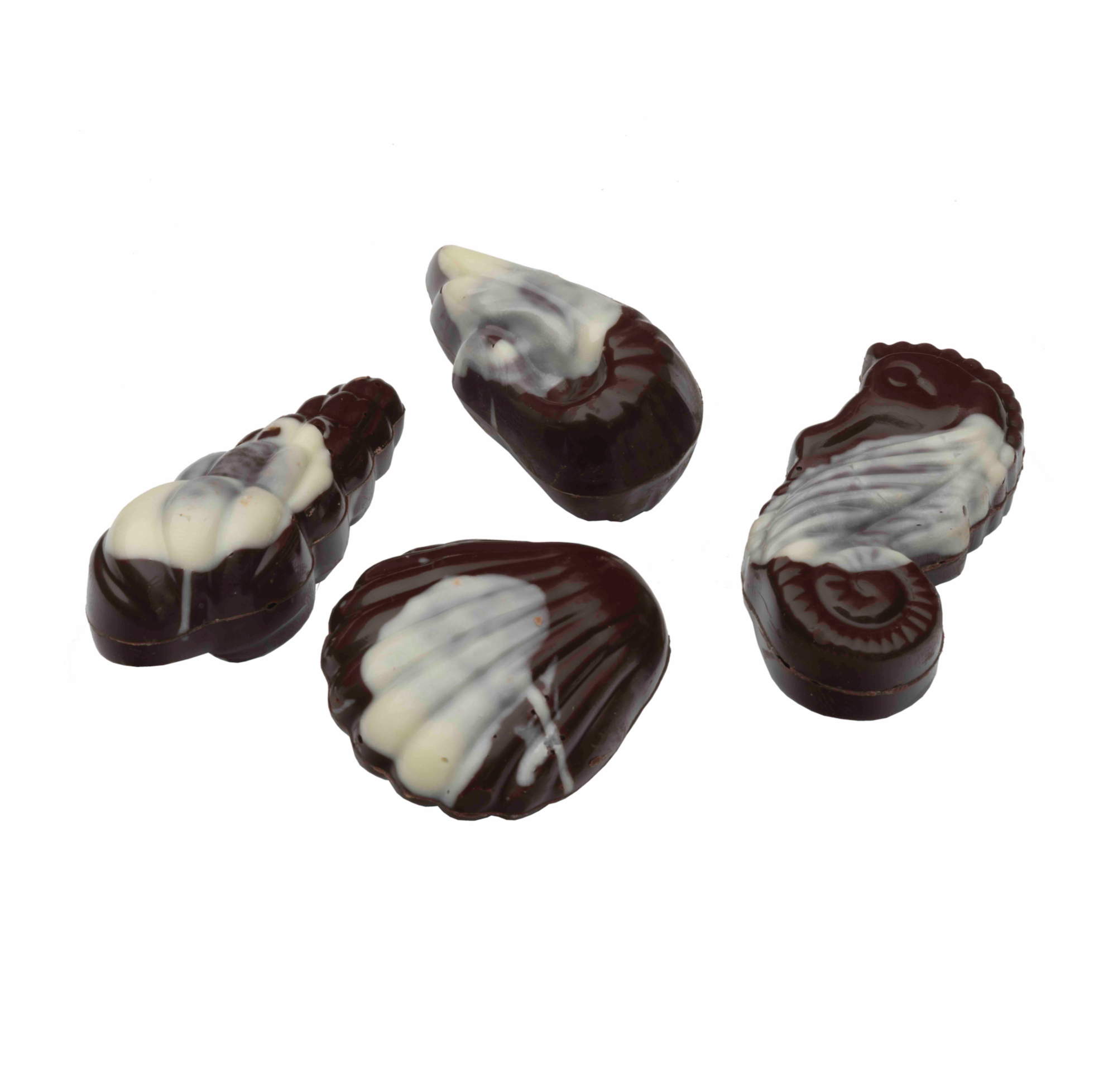 Sea Shells Dark & White Chocolate - Image 2