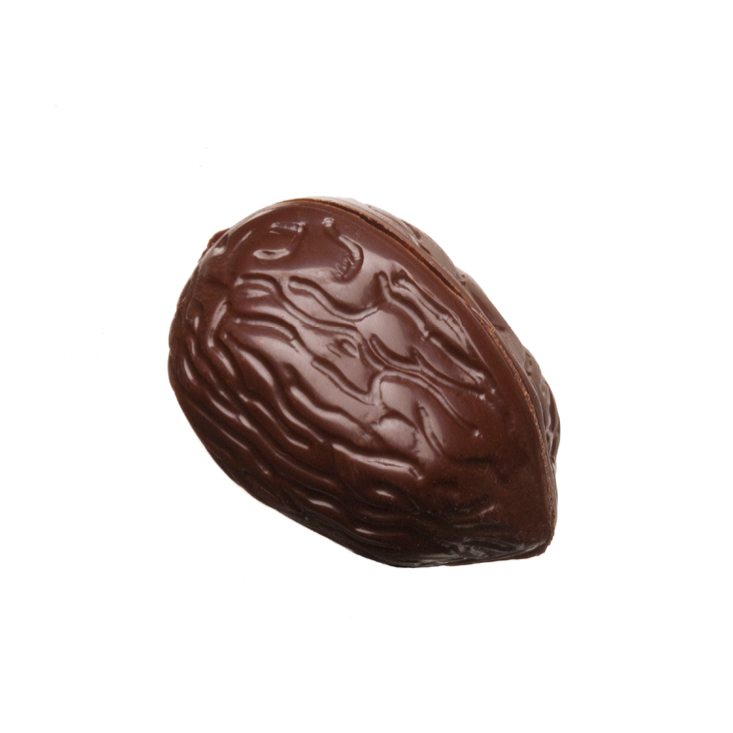 Walnut Dark Chocolate