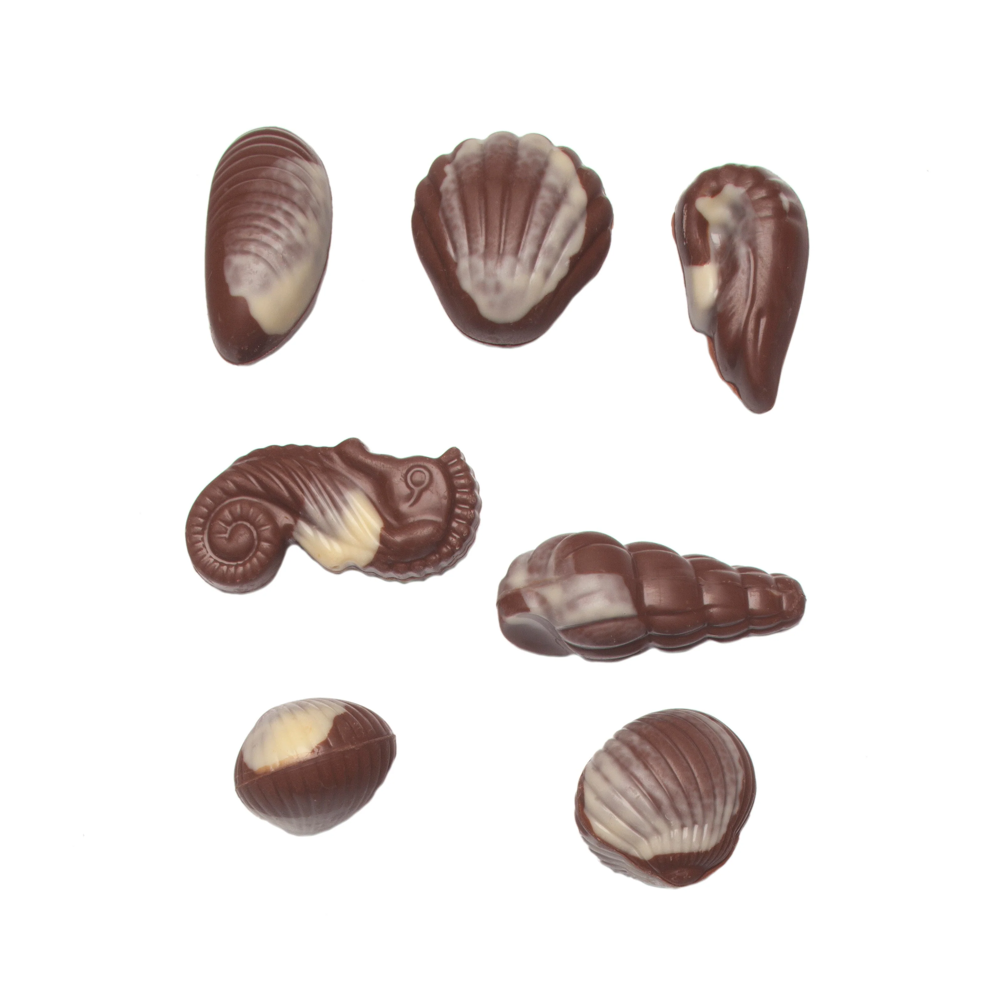 Sea Shells Milk & White Chocolate - Image 3